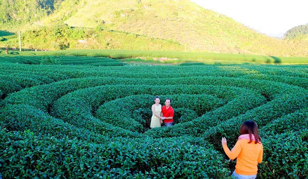 Moc Chau Magnificent natural picture